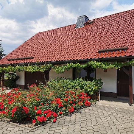 Ferienhaus Rosenhof Glaubitz 外观 照片