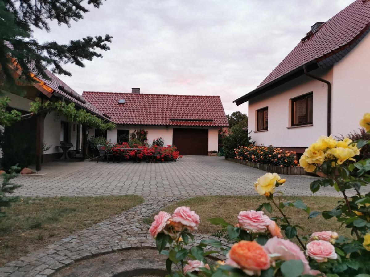 Ferienhaus Rosenhof Glaubitz 外观 照片