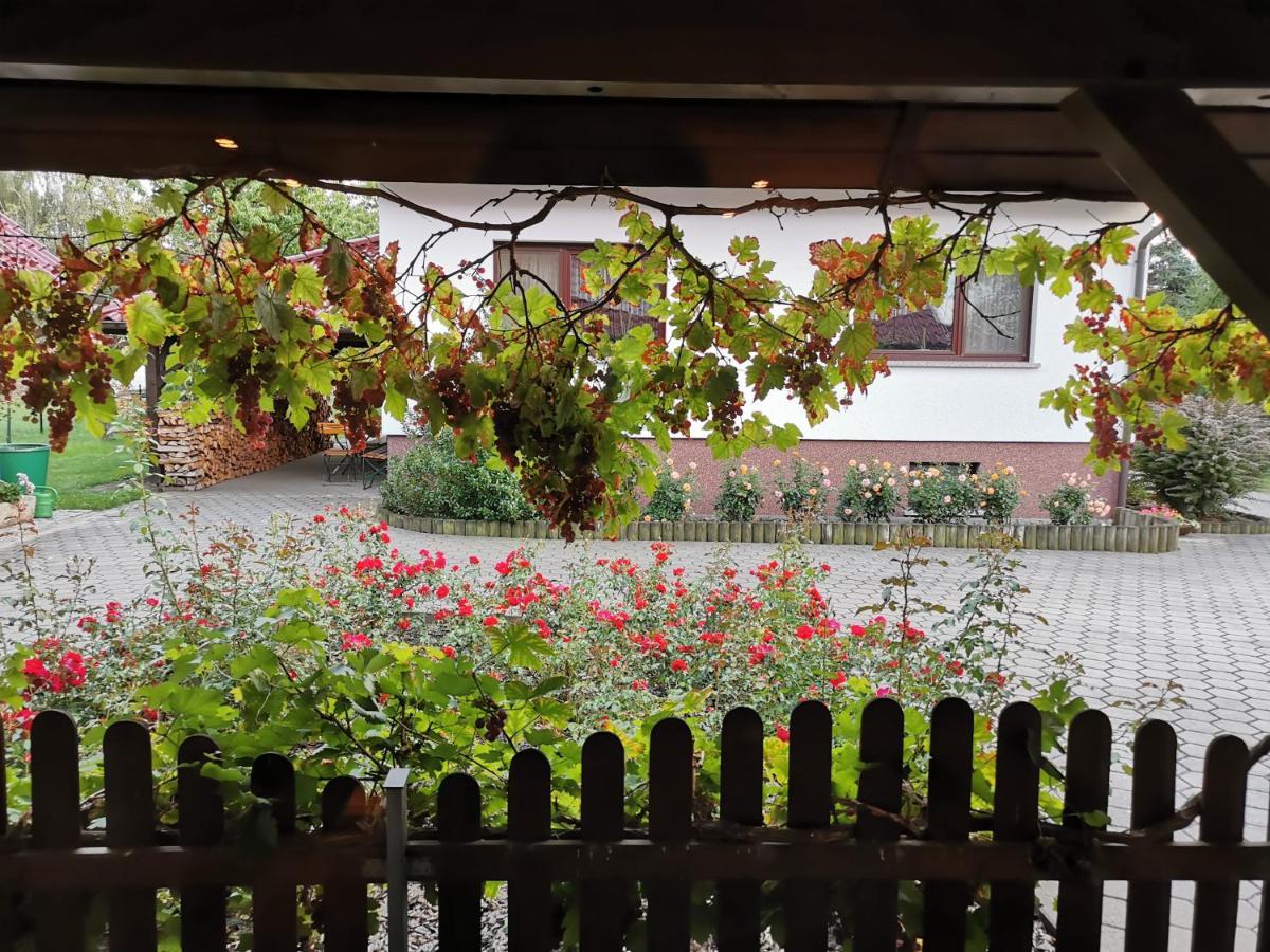 Ferienhaus Rosenhof Glaubitz 外观 照片