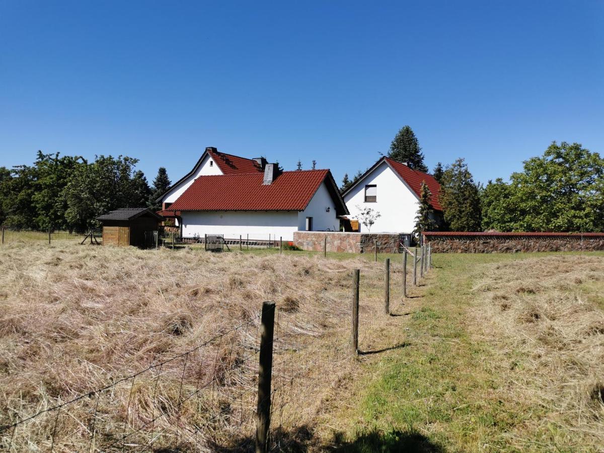 Ferienhaus Rosenhof Glaubitz 外观 照片